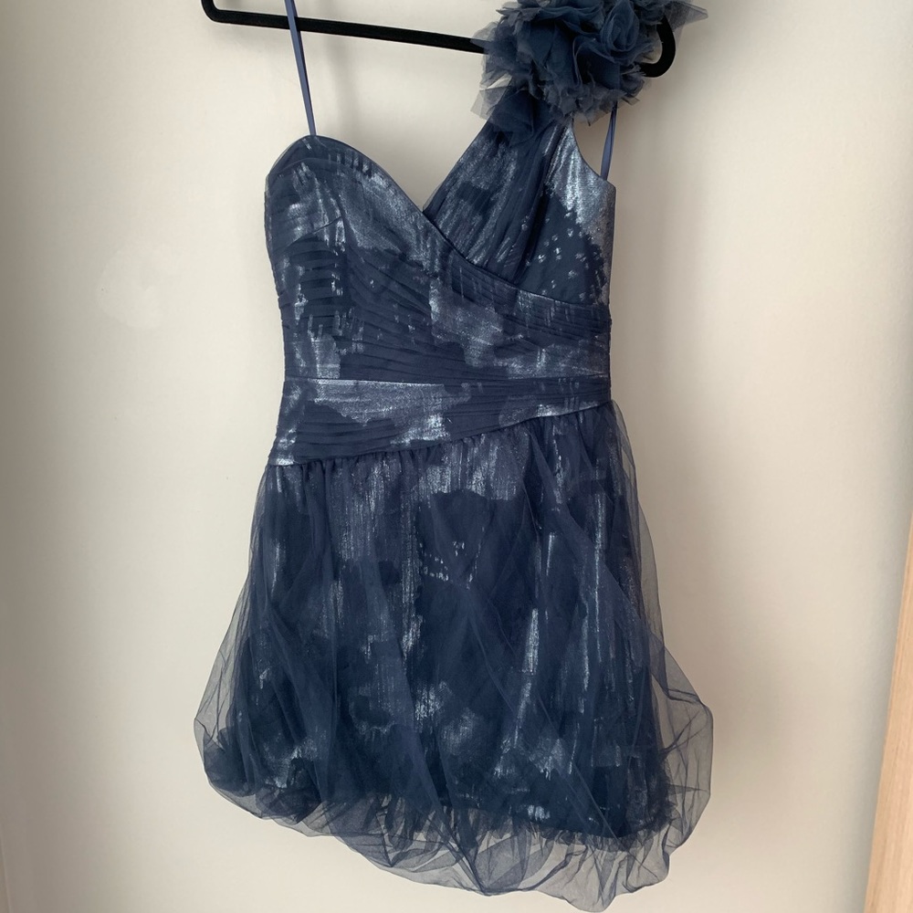 🤩🔥BCBG Organza Dress Navy/Silver Sz4-6 Authentic